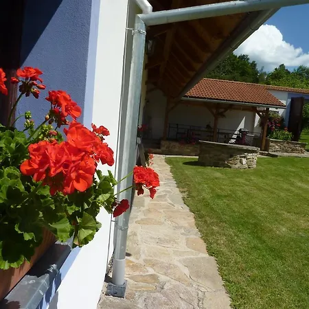 Brusna Lhenice